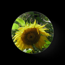 Sunflower Gardening Button