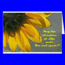 Sunflower get well card cards