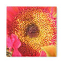 Sunflower Gifts magnet