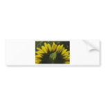 Sunflower glow bumper sticker
