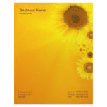 Sunflower Glow Letterhead Design