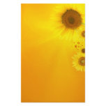 Sunflower Glow Stationery
