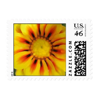 Sunflower gone wild stamp