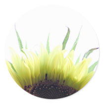 Sunflower good morning sticker by deemac1 Sunflower good morning sticker