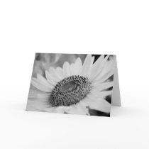 Sunflower Greeting cards