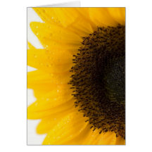 sunflower greeting card