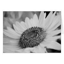 Sunflower Greeting Card