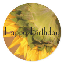 Sunflower, Happy Birthday stickers by Priscilla48 Sunflower, Happy Birthday stickers