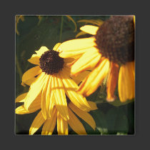 Sunflower Haven magnets