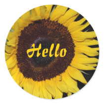 Sunflower, Hello stickers by Priscilla48 Sunflower, Hello stickers
