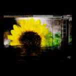 Sunflower Image Print posters