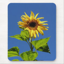 sunflower in the blue sky mousepads
