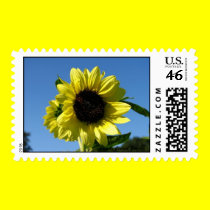 Sunflower in the Bronx postage