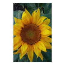 Sunflower in the Spring Custom Stationery
