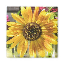 Sunflower in the Sun Refrigerator Magnet