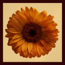 Sunflower  Invitation invitations