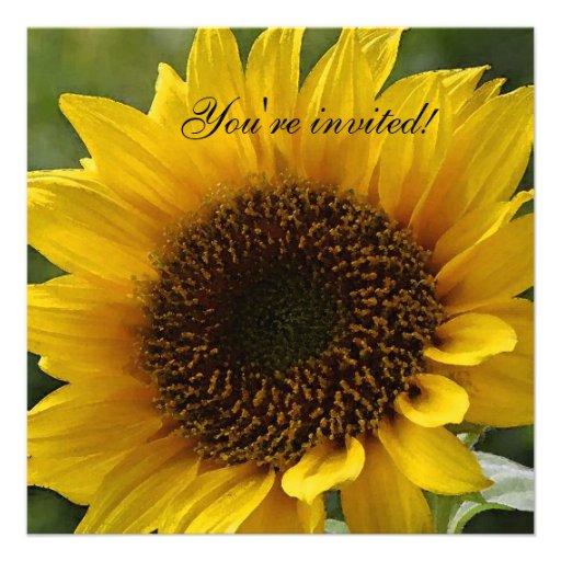 Sunflower invitation