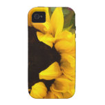 SUNFLOWER IPHONE 4 CASE