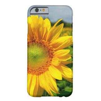 Sunflower iPhone 6 case