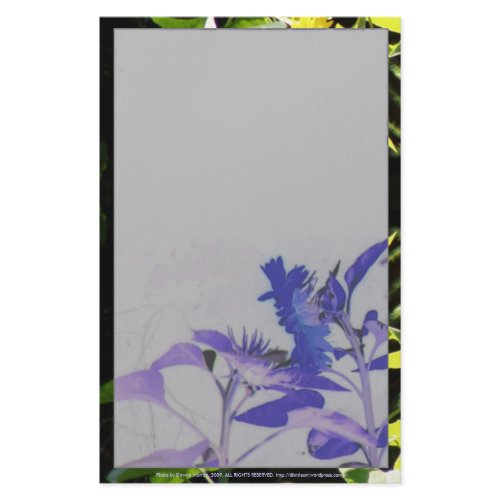 sunflower kiss, blue stationery