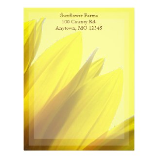 Sunflower Letterhead Template