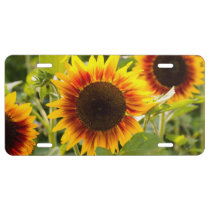 Sunflower License Plate at Zazzle