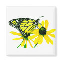 Sunflower magnets
