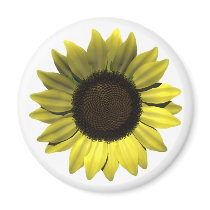 Sunflower Magnet