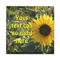 Sunflower Magnet