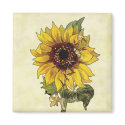 Sunflower magnets