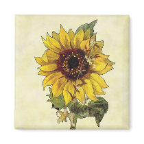 Sunflower magnets