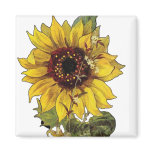 Sunflower magnets