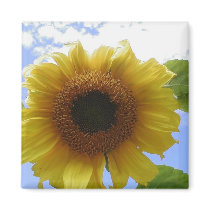 Sunflower magnets by SweetRascal Sunflower magnets