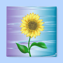 Sunflower magnets