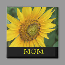 Sunflower magnets