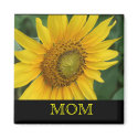 Sunflower magnets