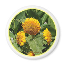 SUNFLOWER MAGNET