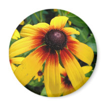 Sunflower Magnet
