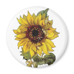 Sunflower magnets