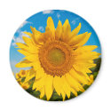 Sunflower Magnet by sueables Sunflower Magnet