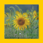 Sunflower Magnet