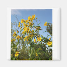 Sunflower Magnet