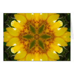 Sunflower Mandala Cards