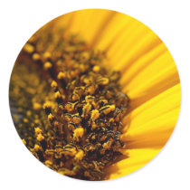 Sunflower Memories: Envelope Seals stickers