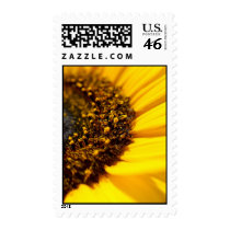 Sunflower Memories: US Postage Stamps by occasionsforyou Sunflower Memories: US Postage Stamps