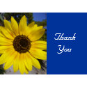 sunflower message card