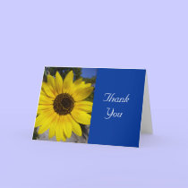 sunflower message cards by cardart sunflower message cards