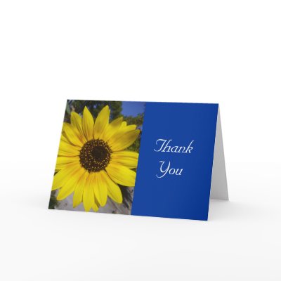 sunflower message greeting cards by cardart