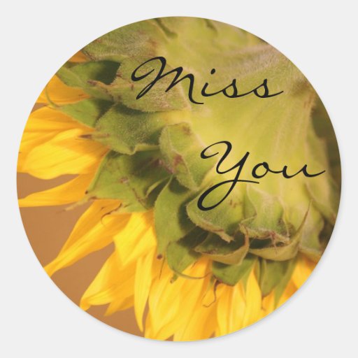 Sunflower, Miss You Classic Round Sticker Zazzle