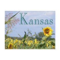 Sunflower Monarch postcards